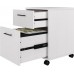 Furniture Key West 2 Drawer Mobile File Cabinet, Rolling File Cabinet for Home Office